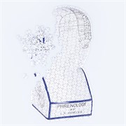 Пазл Phrenology