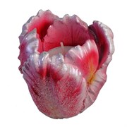 Подсвечник Тюльпан цвет: розовый L8W8H8 см