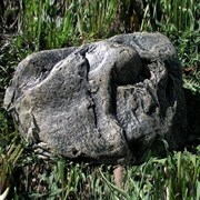 Камень декоративный L36H15 см.