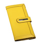 Клатч-кошелёк Color Time Кросс (Cross) AC508085-8