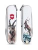 Нож-брелок Classic Capricorn Викторинокс (Victorinox) 0.6223.L1610 - фото 103101