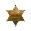 Значок окружного шерифа DE-113-L - фото 186483