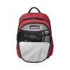 Рюкзак Викторинокс (Victorinox) Altmont Original Standard Backpack 606738 - фото 189015