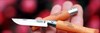 Нож Опинель (Opinel) №5, углеродистая сталь, рукоять из дерева бука - фото 208508