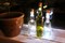Светящаяся пробка bottle light - фото 220543