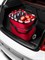 Сумка-тележка carrycruiser red - фото 222313