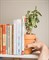Держатель для книг plant pot - фото 232124
