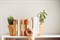 Держатель для книг plant pot - фото 232125