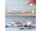 Блюдо сервировочное со стеклянным куполом 35.5 см paddle - фото 233196