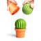 Набор для специй cactus - фото 233881