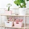 Контейнер для хранения boxxx m organic, 3,5 л, зелёный - фото 248418