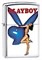 Широкая зажигалка Zippo Playboy 20950 - фото 282364