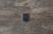 Зажигалка ZIPPO Iridescent 49146 - фото 284698