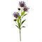 Цветок искусственный  "Леукоспермум сердцелистный дымчатый" H=74 см  мал - фото 288364