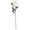 Цветок искусственный "Астра" H=75 см , белый - фото 292735