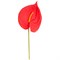 Цветок искусственный "Антуриум" H=51 см , красный - фото 292738