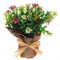 Цветочная композиция, L6 W6 H15 см, 2в. - фото 329534