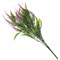 Цветок искусственный "Вереск", L17 W7 H46 см, 4в. - фото 329836