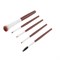 Набор Dewal Beauty косметических кистей /в тубусе/ (5шт/уп), 150мм х d40ммм - фото 356940