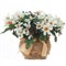 Цветочная композиция, L15 W15 H15 см, 4в. - фото 380934