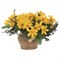 Цветочная композиция, L15 W15 H15 см, 4в. - фото 380935