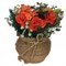 Цветочная композиция, L15 W15 H15 см, 4в. - фото 380945