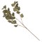Ветка искусственная, L22 W17 H83 см, 6в. - фото 384688
