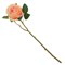 Цветок искусственный "Роза", L15 W10 H63 см, 6в. - фото 384701