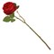 Цветок искусственный "Роза", L15 W10 H63 см, 6в. - фото 384704