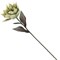 Цветок искусственный, L23 W23 H63 см, 4в. - фото 384857