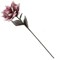 Цветок искусственный, L23 W23 H63 см, 4в. - фото 384858