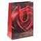 Пакет подарочный, L14 W6,5 H20 см, (в ассорт.) - фото 385682