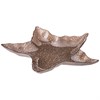 Блюдо "Starfish" sand 34 см - фото 399632