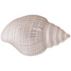 Блюдо "Shell" pearl 41 см - фото 399648