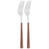 Набор вилок столовых, 2 шт без упак. L= 21 см мал. уп. = 12 шт - фото 401323