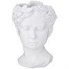 Ваза декоративная "Голова венеры" 15,5*22 см цвет: белый - фото 401506