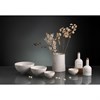Бутылка для уксуса белого цвета из коллекции Kitchen Spirit, 250 мл - фото 403458