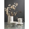 Салатник белого цвета из коллекции Kitchen Spirit, 1,4 л - фото 403494