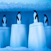 Форма для мороженого Penguin on ice - фото 405901