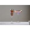 Набор рюмок для ликера Feast, 105 мл, 2 шт. - фото 406932