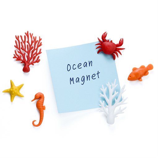 Набор из 6 магнитов для холодильника ocean - фото 358462