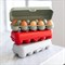 Контейнер для яиц eggs to go, organic, красный - фото 362595