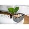 Контейнер для хранения boxxx, organic, 15 л, молочный - фото 362758